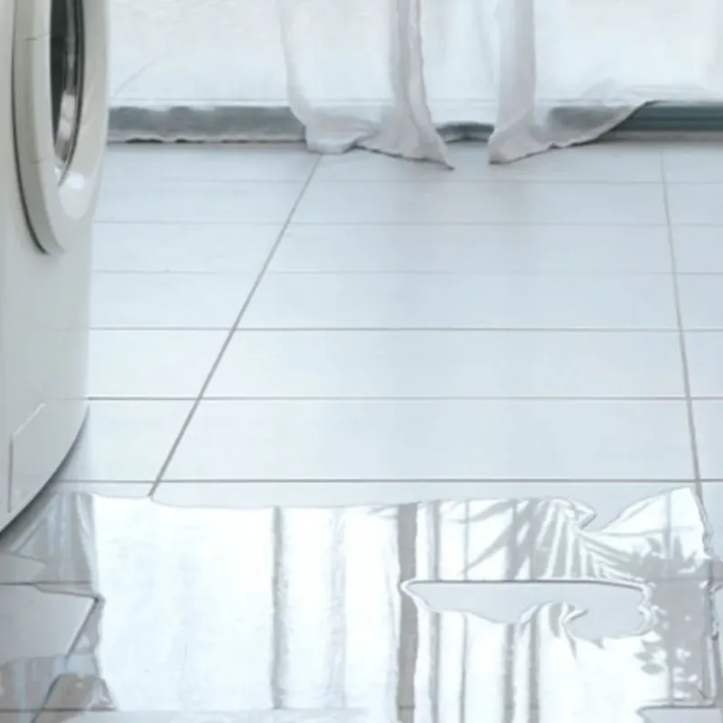 Appliance Leak Cleanup in Webster, NY