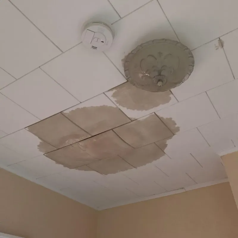 Ceiling Water Damage Repair in Webster, NY