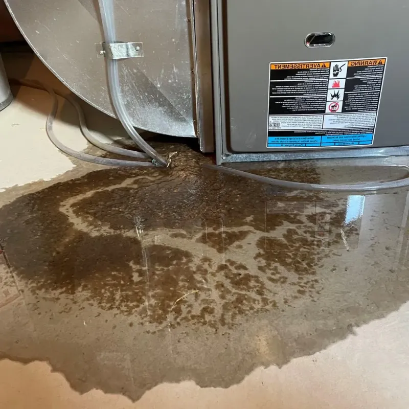 Pipe Burst and Leak Restoration in Webster, NY